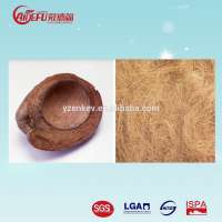 Popular Hot Selling High Quality comfortable Healthy Natural Rubberized Coir Sheet and Sofa Industry